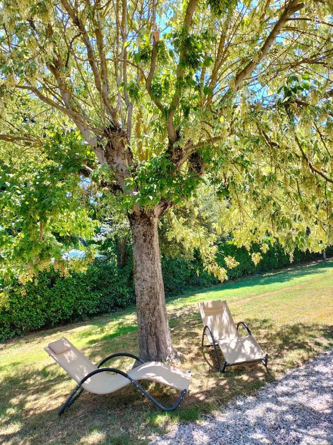 Casa vacanze Bonardini Castiglione del Lago Esterno foto