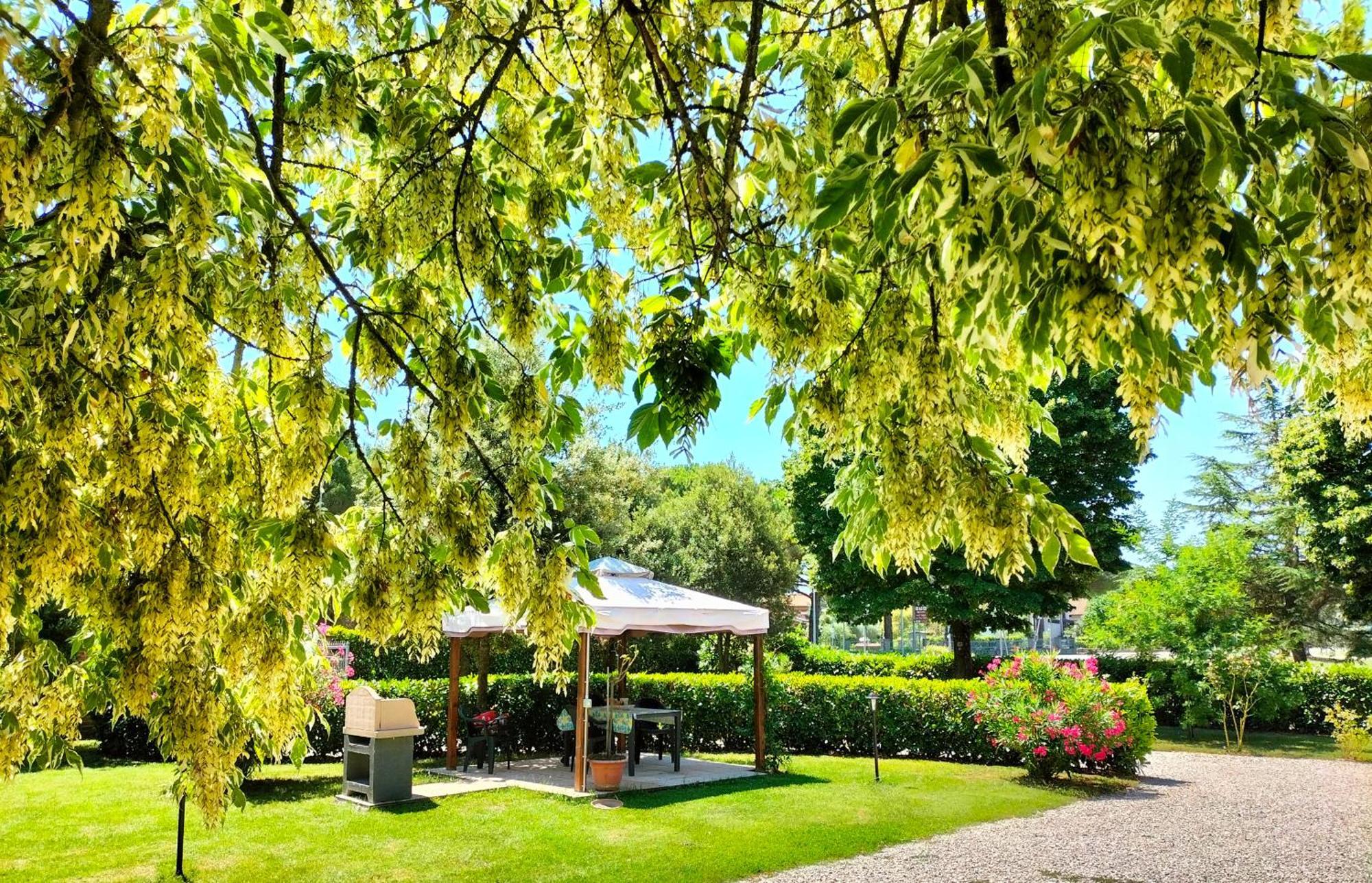 Casa vacanze Bonardini Villa Castiglione del Lago Esterno foto